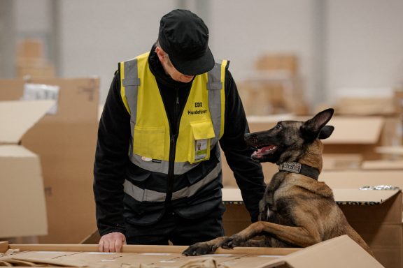 Ein Mann in Warnweste steht neben einem Hund in einem Lager voller Kartons.